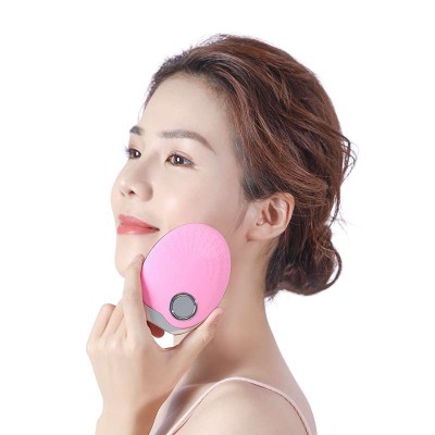 Factory wholesale home beauty mini silicone facial cleansing brush waterproof deep pore facial cleansing spin brush set